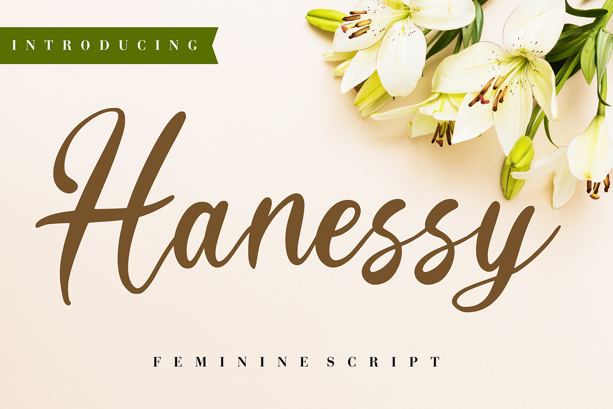 Hanessy Business Font