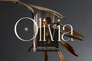 LT Verola – Rich Serif Ligature Type, a Serif Font by Luminotype (Thumbnail 9 of 15)