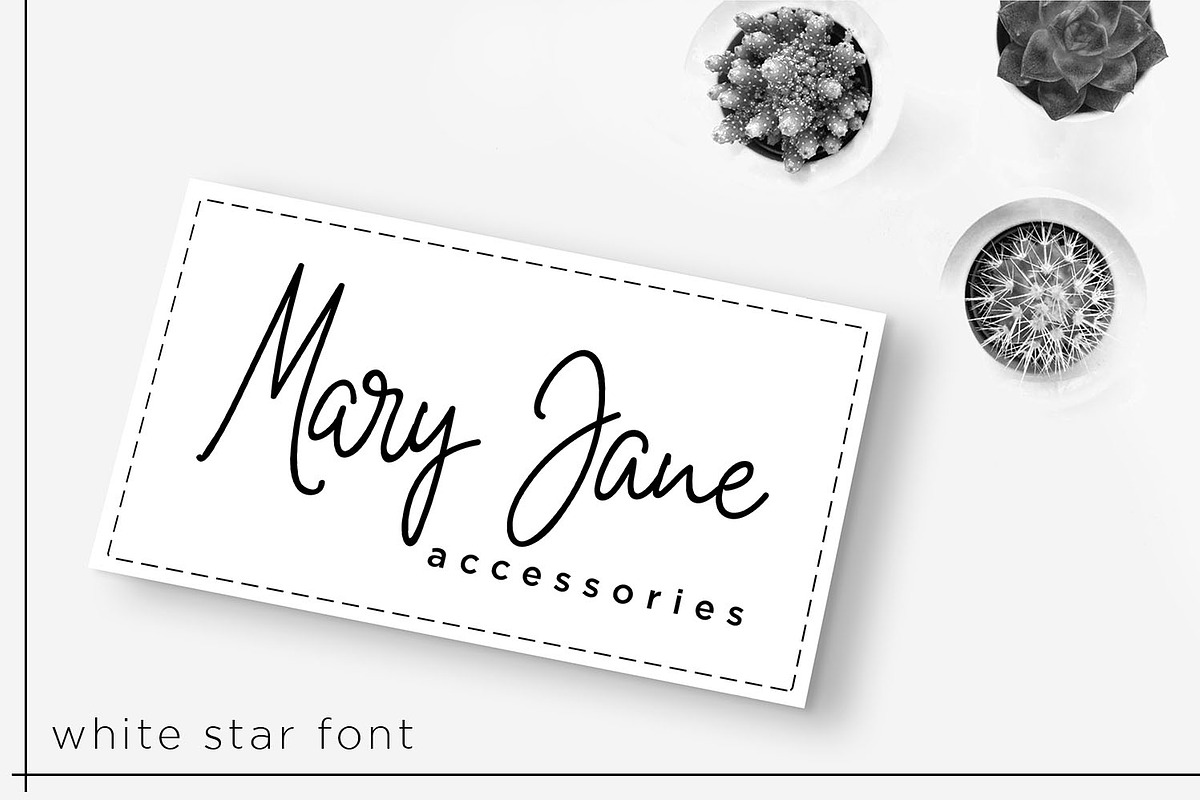 White Star - Chic Handwritten Font, a Script Font by din-studio.com (Photo 6 of 8)