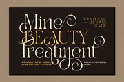 Drak Sistem Elegant Swash Serif Font, a Serif Font by Elegant Font (Thumbnail 6 of 8)