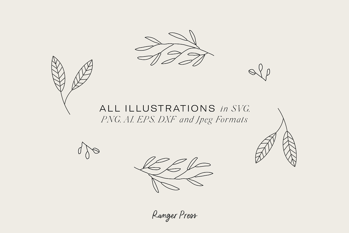 Wildflowers Line Art Botanicals, an Illustration by LifestyleCraftCo (Photo 6 of 6)