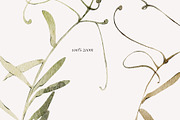WINTER FLORALS watercolor set, a Decorative Illustration by Yuliia Lashevska (Thumbnail 2 of 12)