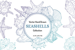 Seashells Vector Collection Line Art