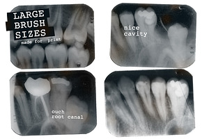 Dental X-ray Brushes