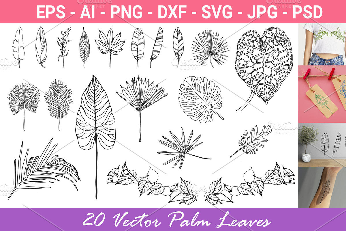 Palm Leaves svg, Botanical png, a Decorative Illustration by Watercolor_Vector Graphic (Photo 1 of 25)
