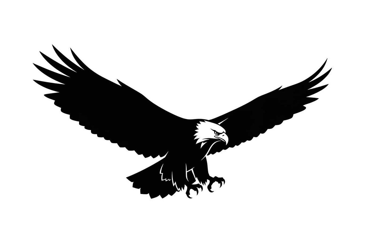50 Flying Eagle Silhouette Vector Bu, an Illustration by Designs_River (Photo 16 of 51)
