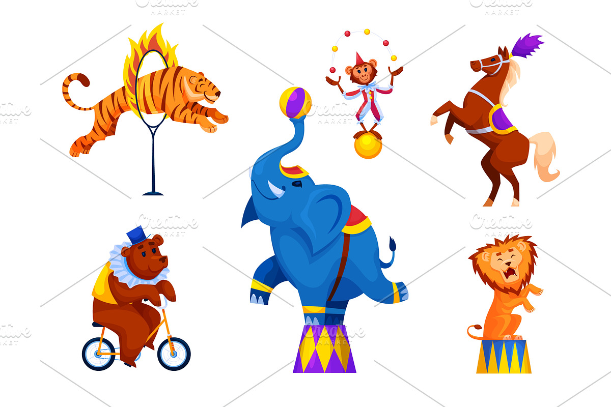 Cartoon circus animals. Carnival, an Animal Illustration by Stock-Smart-Start