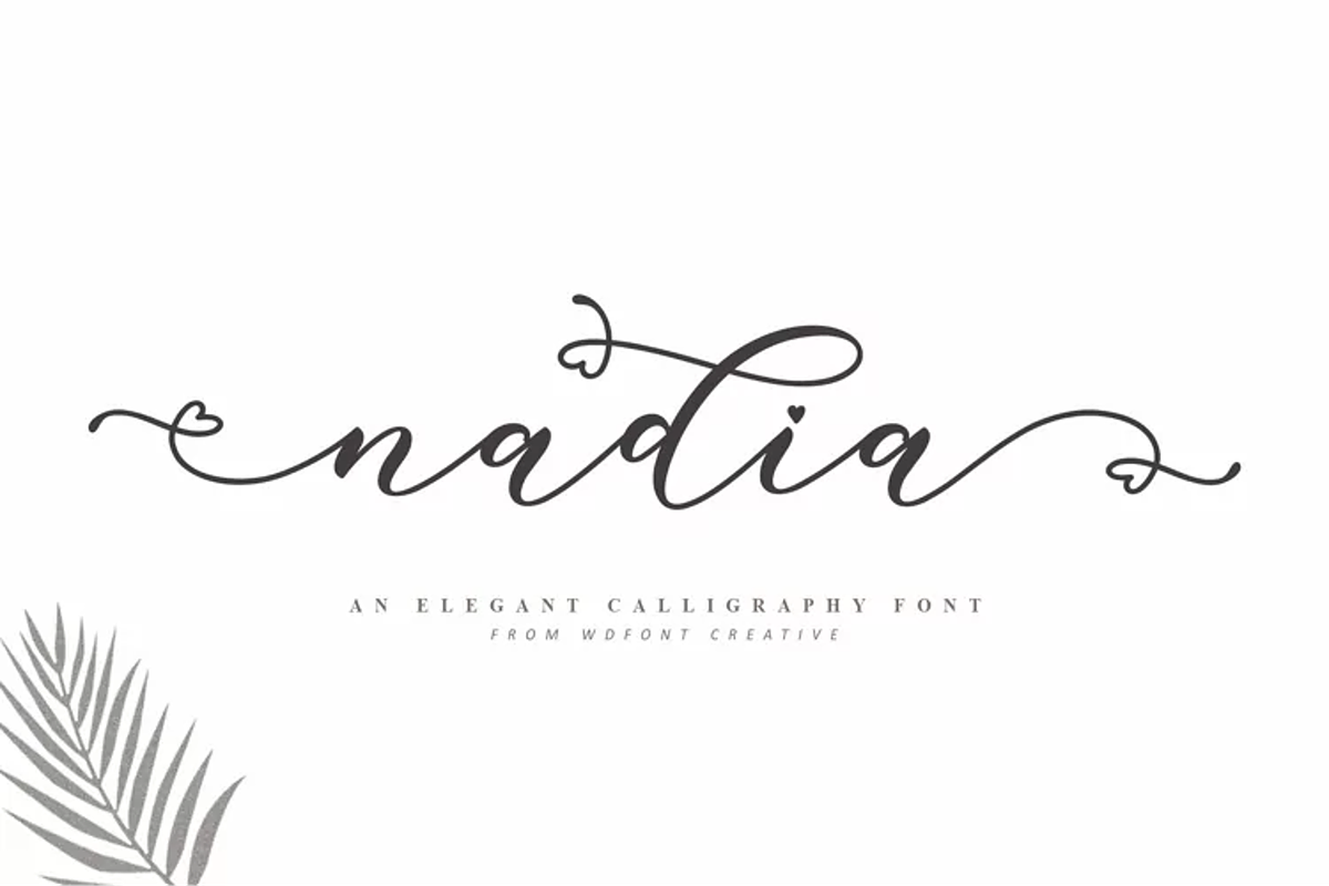 Nadia Script | Lovely Calligraphy, a Script Font by WDfont (Photo 1 of 10)