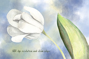 Spring Blossom Watercolor Flowers, an Illustration by Sha1nee (Thumbnail 4 of 4)