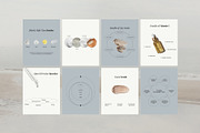 Skincare Instagram Post Templates, a Social Media Template by Terraa Studio Design (Thumbnail 2 of 10)
