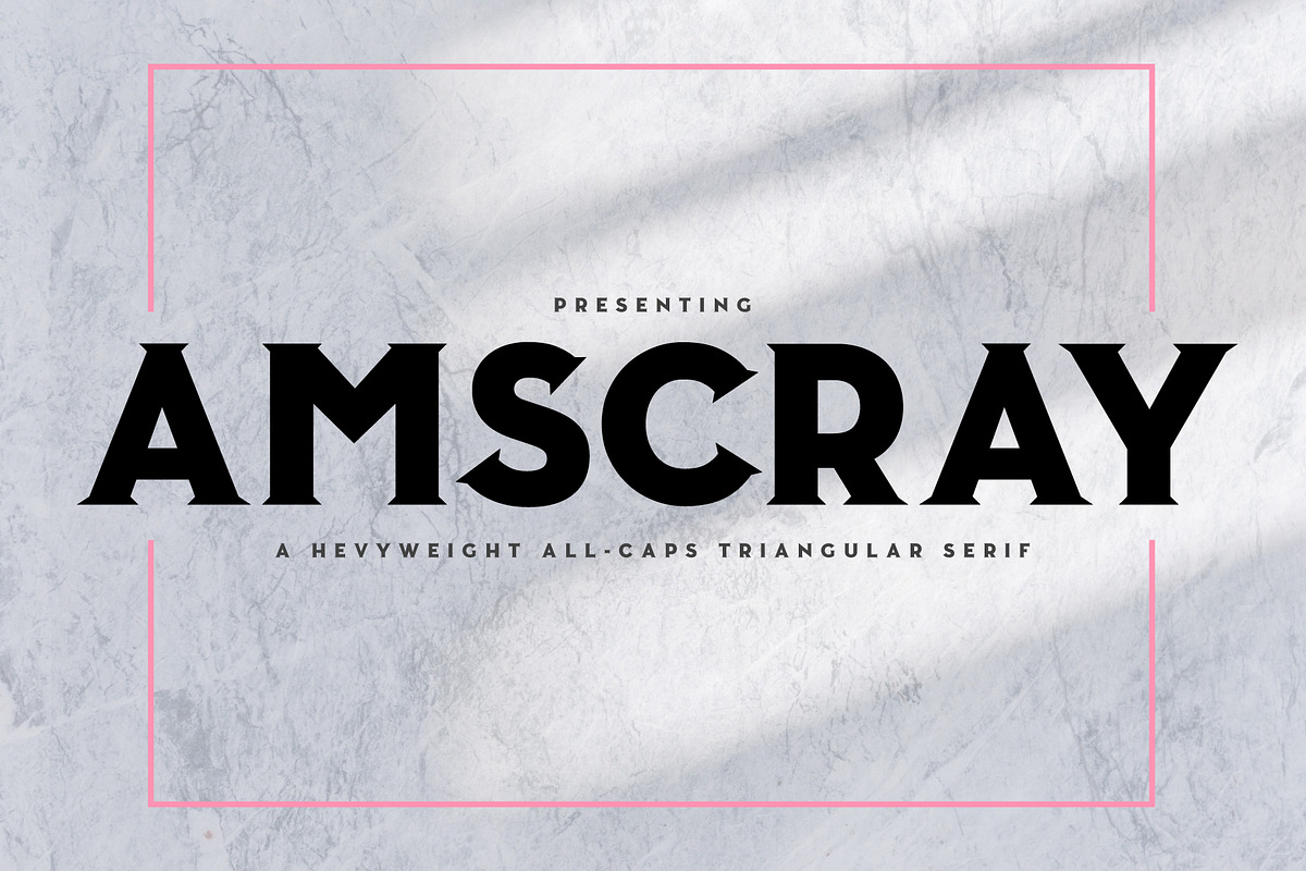 Amscray, a Serif Font by Loudoun Design Co. (Photo 1 of 7)