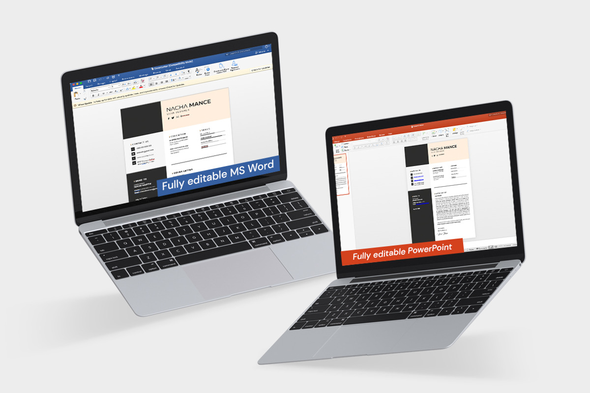 Professional Resume CV Template, a Resume Template by iDoodle Studio (Photo 2 of 5)