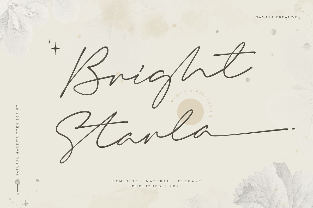 Bright Starla - Handwritten Script, a Script Font by Namara Creative Studio (Photo 1 of 13)
