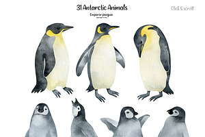 Antarctic Animals Watercolor