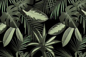 Tropical Patterns & Set VECTOR 2