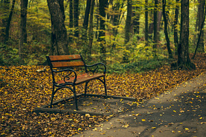 Autumn landscape 1 containing autumn landscape, autumn, and landscape