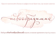 Miss Katherine font Cyrillic + Extra, a Script Font by IraDvilyuk (Thumbnail 21 of 24)