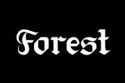 Blitch Modern Blackletter Tattoo, a Blackletter Font by WhymoreArt (Thumbnail 7 of 12)