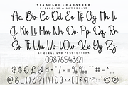 Special Generation, a Handwritten Font by FreshTypeINK (Thumbnail 3 of 8)