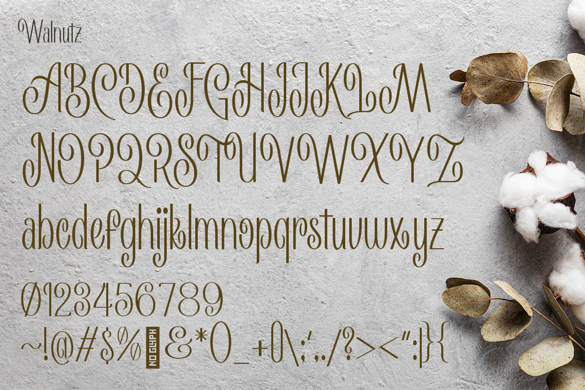 Walnutz - Beauty Decorative Fonts, a Sans Serif Font by Konstantine Studio (Photo 4 of 4)