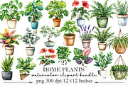 Watercolor Home Plants Clipart, an Illustration by Designking (Thumbnail 1 of 5)