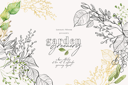Line Art & Watercolour Greenery