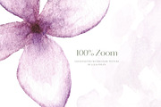 Lilac Garden Watercolor Collection, a Decorative Illustration by Liliia Polos Illustration (Thumbnail 9 of 10)