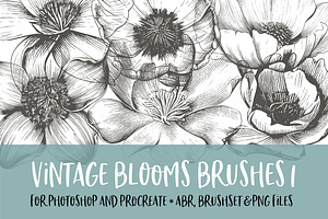 Vintage Blooms 1 Brush For PS/PRO