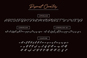 Pisonest (Glyph Central Europan), a Script Font by Meutuwah (Thumbnail 9 of 10)
