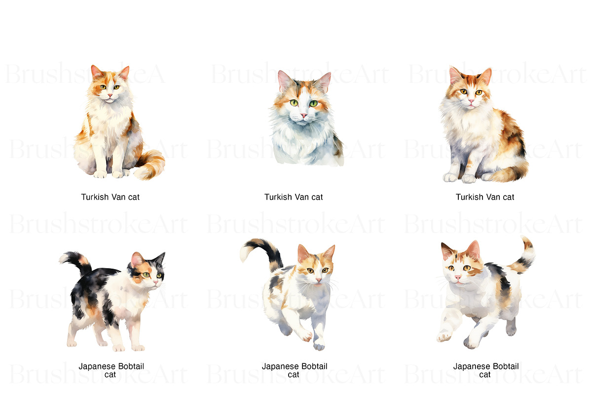 Purebred Cats Clipart, Cat Breeds, an Animal Illustration by BrushstrokeArtGB (Photo 2 of 9)