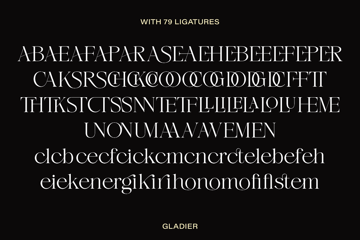 Gladier - A Modern Serif Font, a Serif Font by Comactype Foundry (Photo 21 of 22)