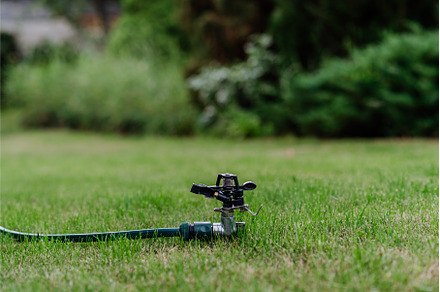 Close-up of water sprinkler in the, a Nature Photo by HalfPoint