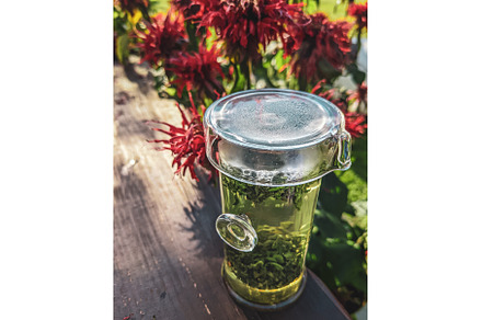 A Refreshing Herbal Drink Surrounded, a Food & Drink Photo by Media Whale Stock