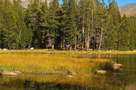 Mountains and a wood are reflected inl lake., a Background Photo by kavram