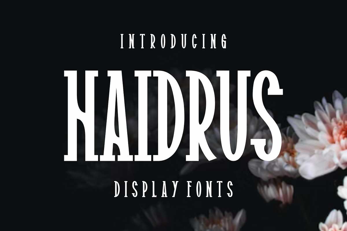 Haidrus, a Serif Font by lelevien (Photo 5 of 5)
