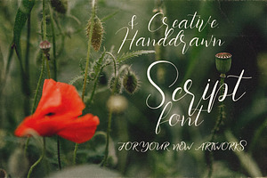 Southlove Script Font