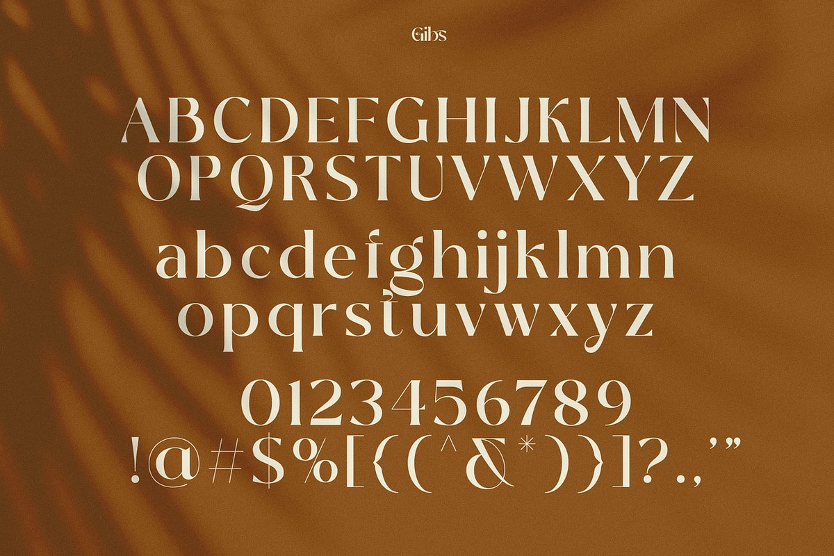 Abstain Ligature Luxury Serif, a Serif Font by Luna Shop (Photo 3 of 9)