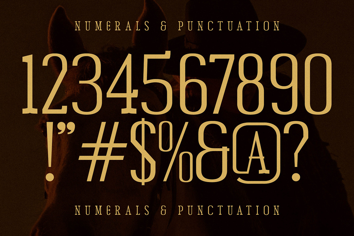 Chery Bomber A Slab Serif Display, a Slab Serif Font by Storytype Studio (Photo 14 of 15)
