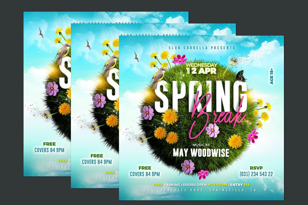 Spring Break Party Flyer, a Flyer Template by Corrella Design (Photo 2 of 2)