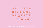 Blomma Hand-Drawn Display Font, a Serif Font by Up Up Creative (Thumbnail 6 of 12)