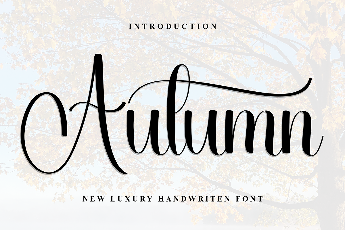 Autumn, a Handwritten Font by InermediaSTUDIO (Photo 1 of 8)