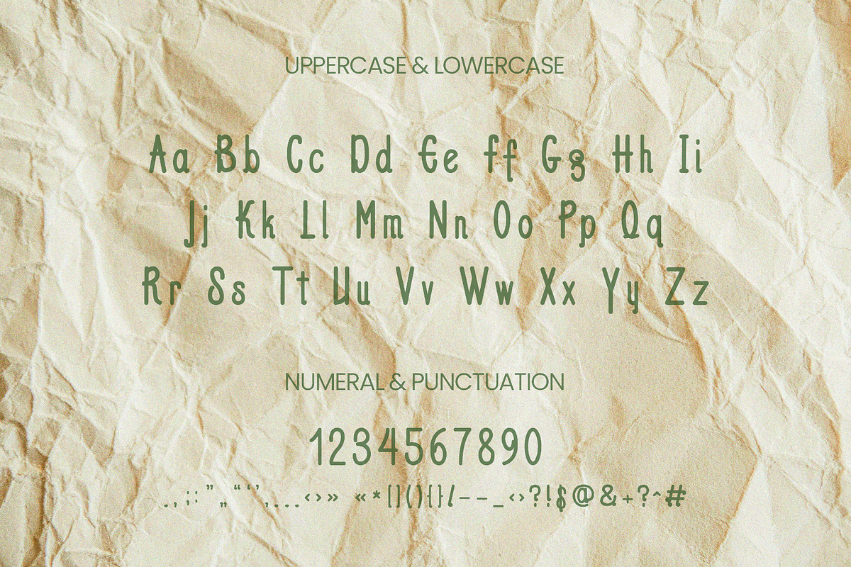 Chic Serenity - Serif Font Type, a Script Font by ArtiXLabs (Photo 10 of 11)