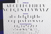 Checker, a Serif Font by da_only_aan (Thumbnail 5 of 5)