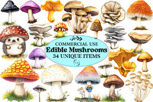 Watercolor Edible Mushrooms Clipart, an Illustration by Craft Nest