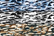 Watercolor seamless backgrounds, a Pattern Graphic by Shusha Guna Art (Thumbnail 5 of 11)