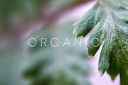 Organic | 20 Botanical Photos, a Nature Photo by Melanie Helena (Thumbnail 15 of 20)
