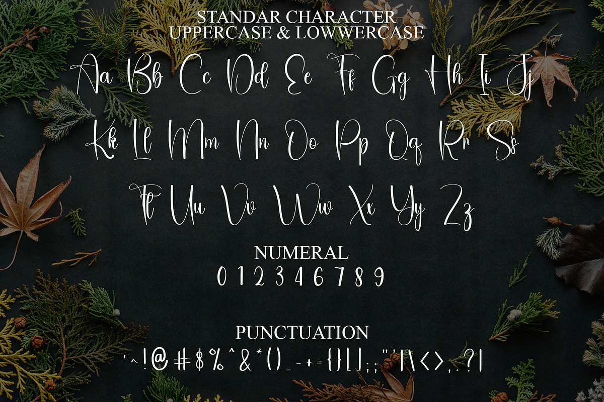 Satisfy, a Handwritten Font by FreshTypeINK (Photo 7 of 8)