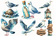 Watercolor Summer Seagulls Clipart, an Illustration by OK Design (Thumbnail 3 of 5)