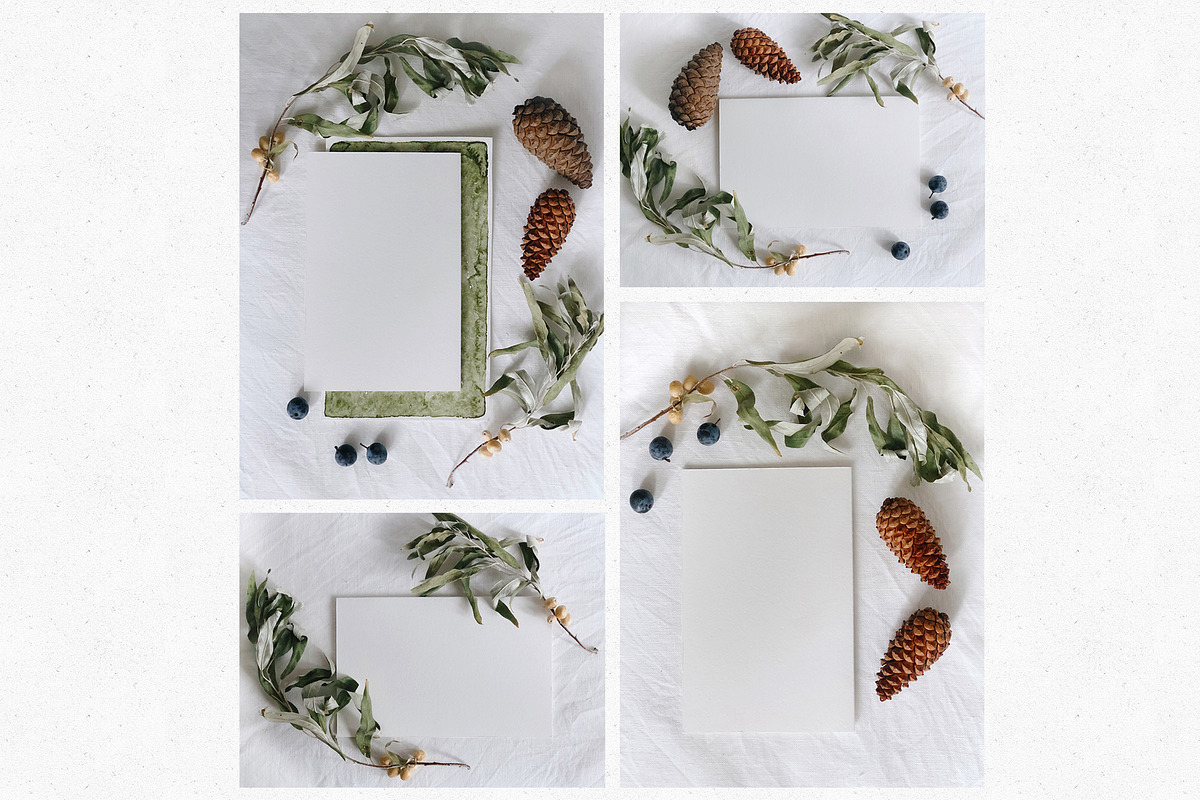 22 Autumn/Winter Flat Lay Photos, a Nature Photo by Helga Wigandt (Photo 5 of 5)