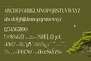 Eternalo Bold Luxury Modern Serif, a Serif Font by timelesstype.co (Thumbnail 18 of 20)